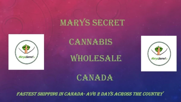 Marys Secret- Cannabis Wholesale Canada