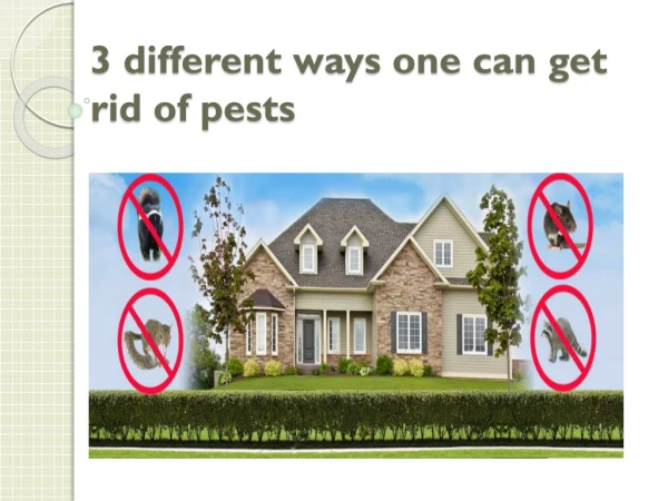3 different ways one can get rid of pests