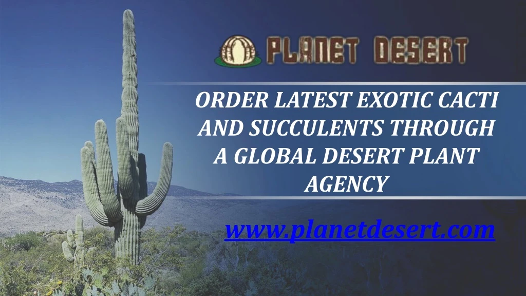 order latest exotic cacti and succulents through