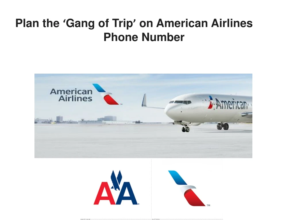 plan the gang of trip on american airlines phone