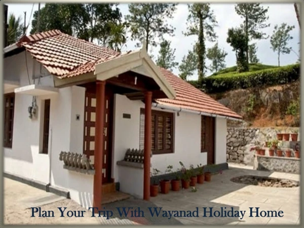 Plan Your Trip With Wayanad Holiday Home