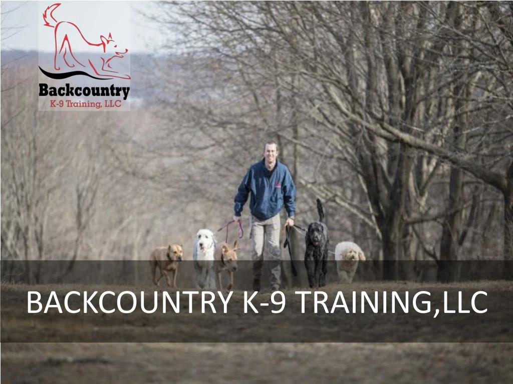 backcountry k 9 training llc