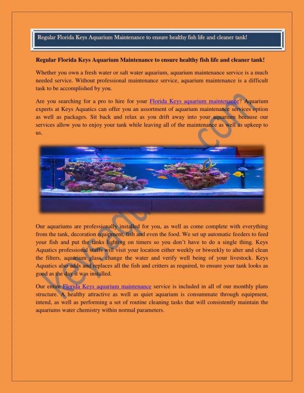 Hire Best Team for Aquarium Maintenance in Florida Keys!