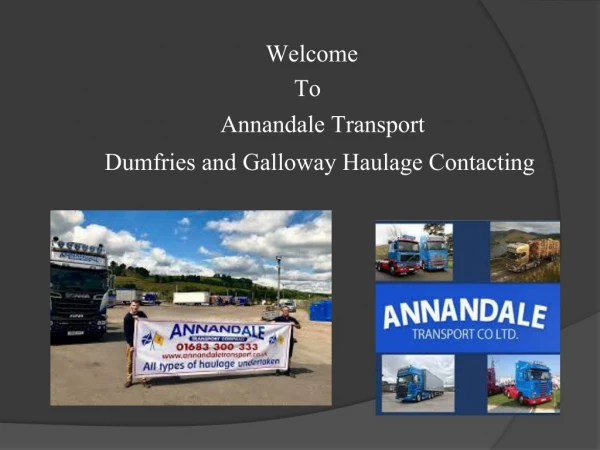 Annandale Transport Distribution Systems