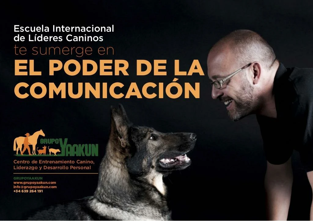 an mate a descubrir el poder de la comunicaci n curso de liderazgo canino