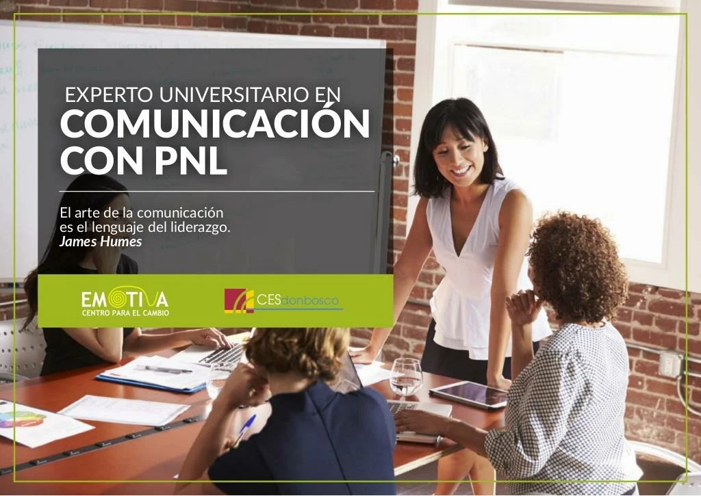 experto universitario en comunicaci n con pnl