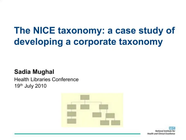 The NICE taxonomy: a case study of developing a corporate taxonomy