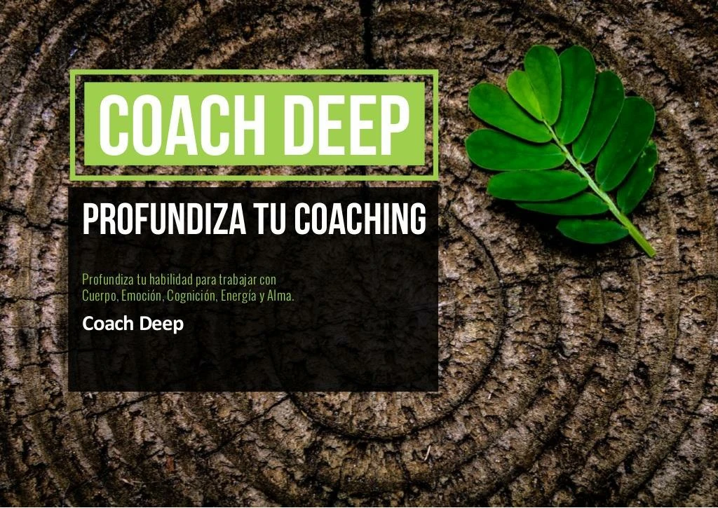 coach deep profundiza tu coaching programa de especializaci n para coaches