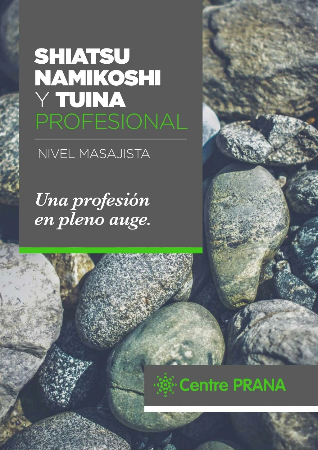 curso shiatsu namikoshi y tuina profesional nica escuela con doble titulaci n