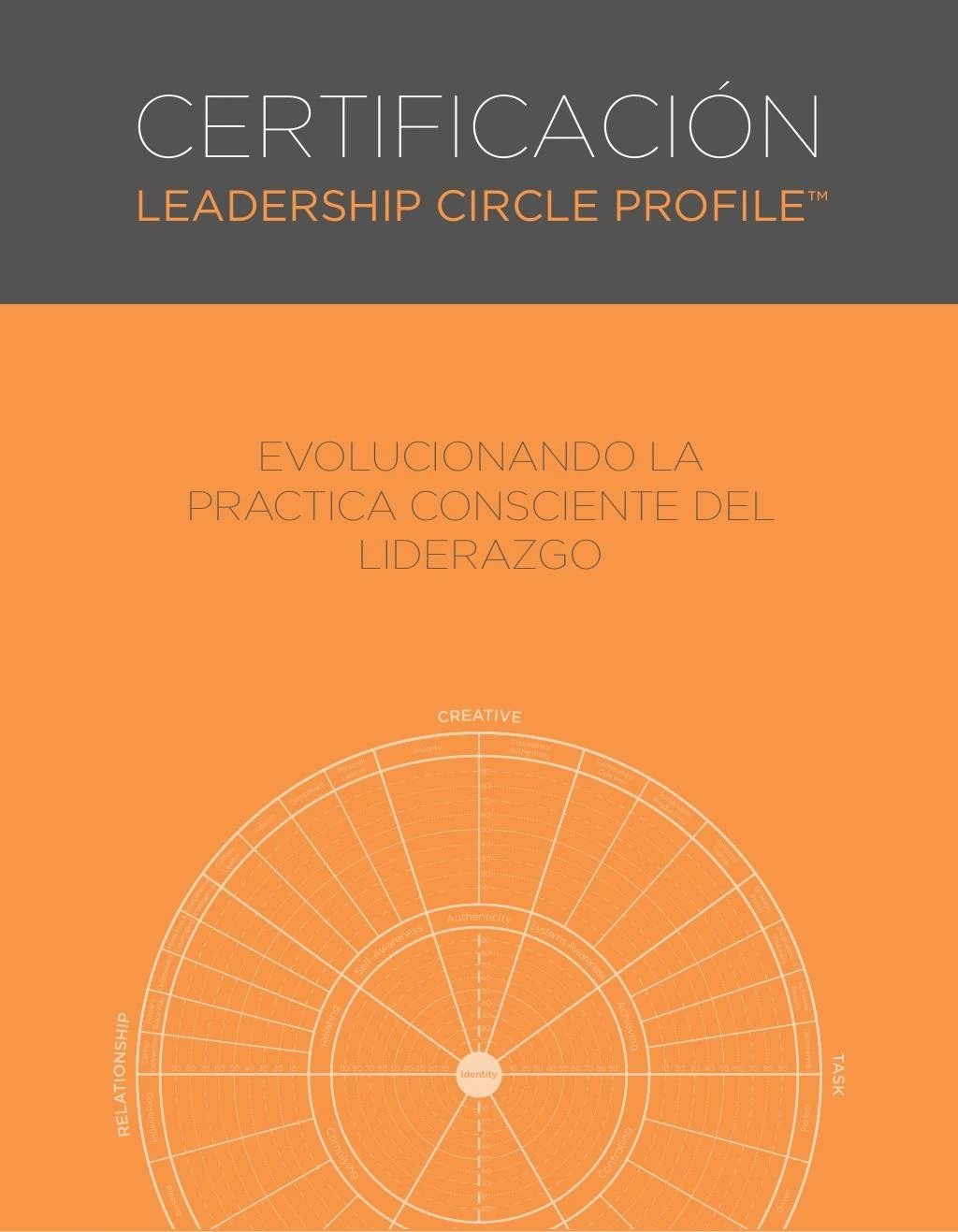 certificaci n leadership circle profile creando un liderazgo m s efectivo para tus clientes