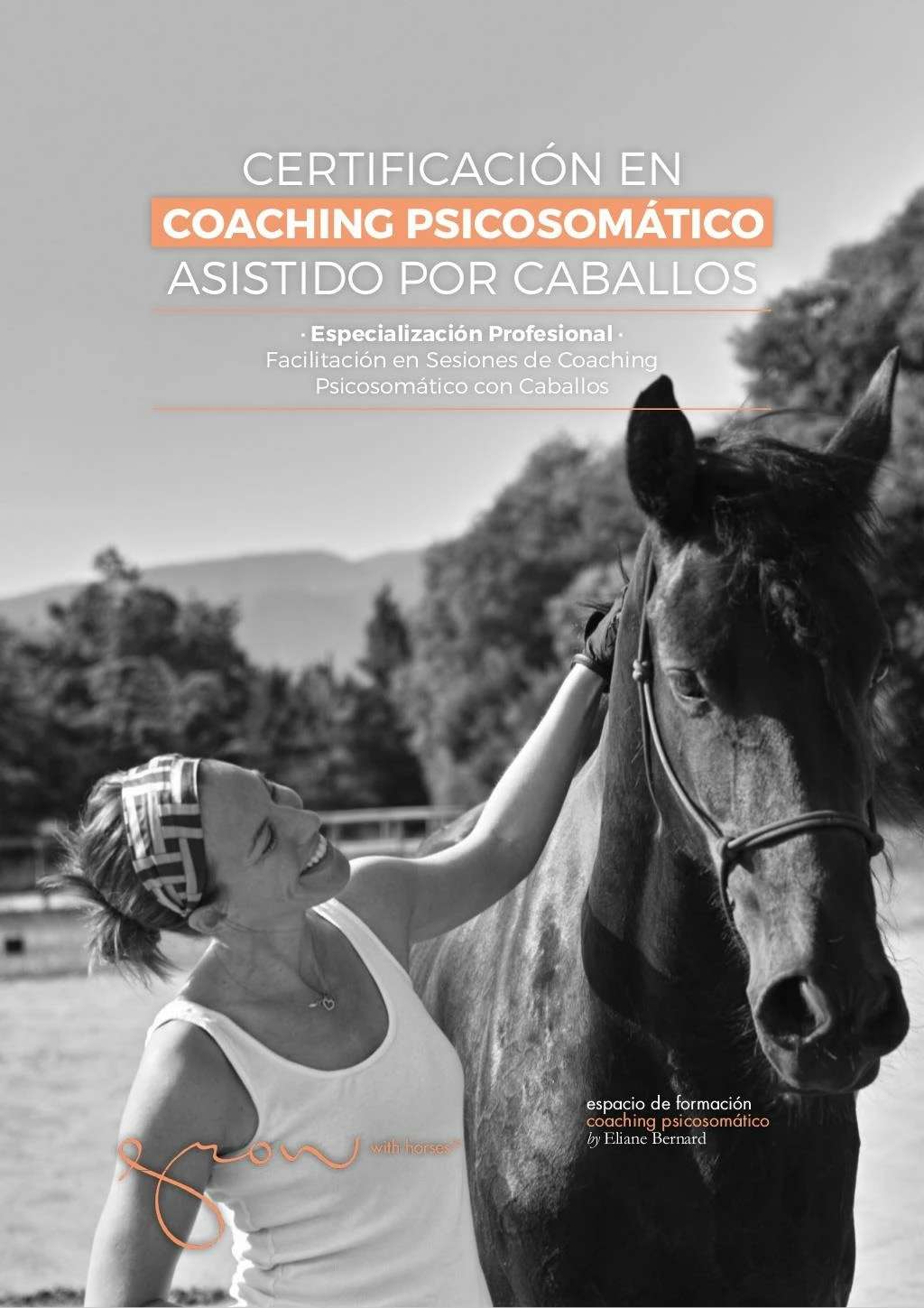 certificaci n profesional facilitador en sesiones de coaching psicosom tico con caballos