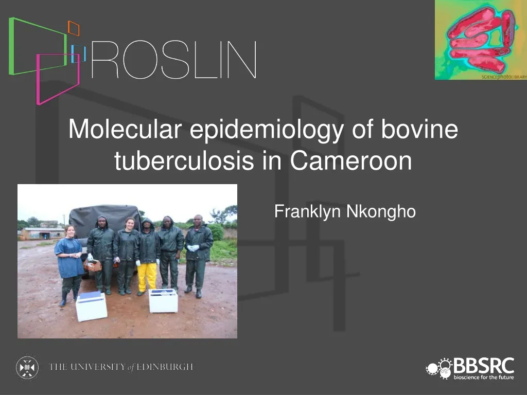 molecular epidemiology of bovine tuberculosis in cameroon