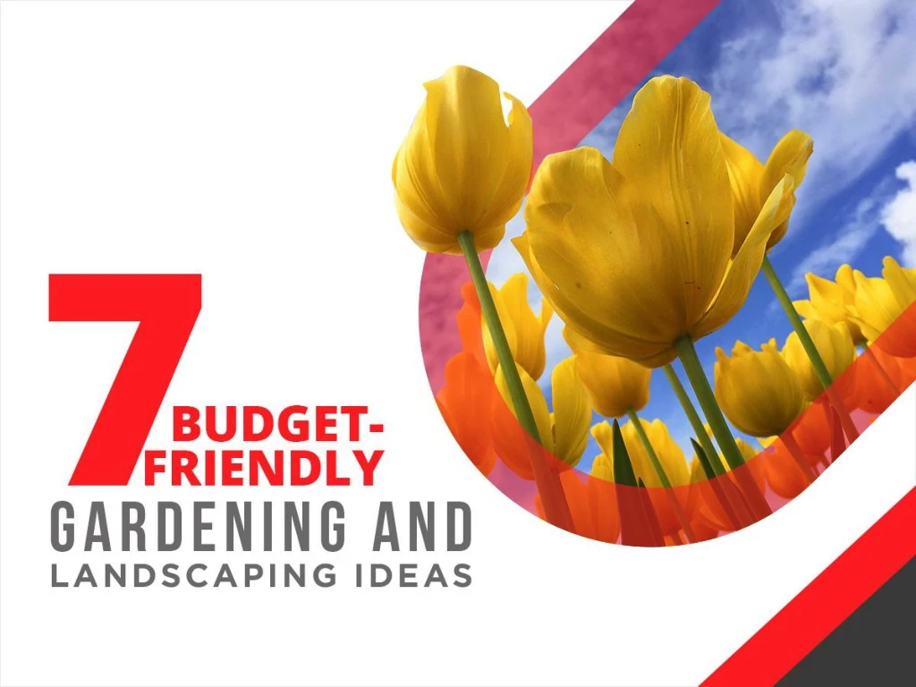 7 budget friendly gardening and landscaping ideas
