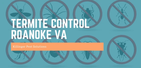 Termite Control Roanoke VA | Killinger Pest Solutions