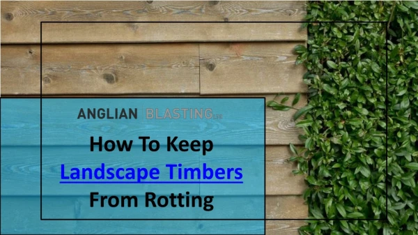 How To Keep Landscape Timbers From Rotting
