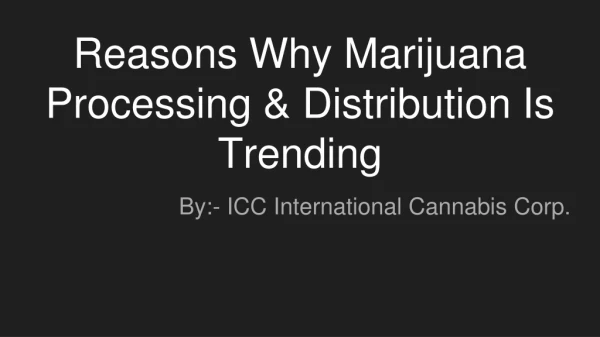 Reasons Why Marijuana Processing & Distribution Is Trending