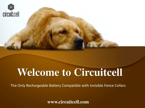 Welcome to Circuitcell