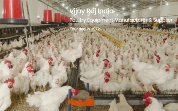 Poultry Equipments manufactured at Vijay Raj India