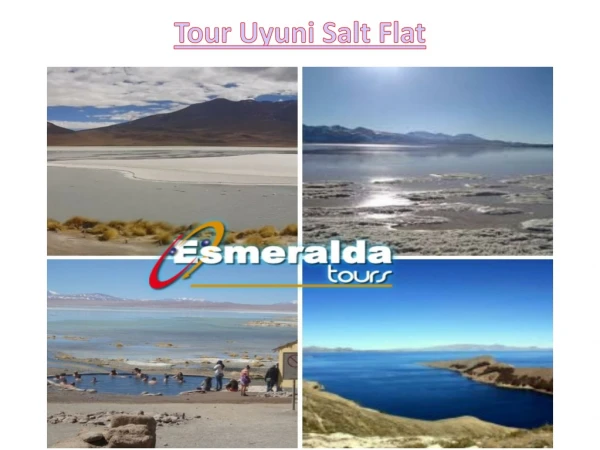 Tour Uyuni Salt Flat