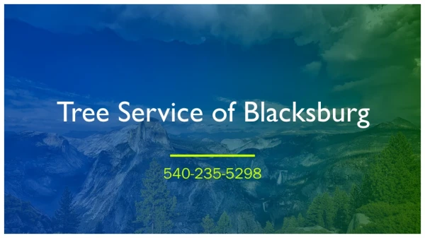 Tree Service of Blacksburg