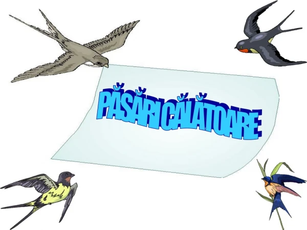 p s ri c l toare