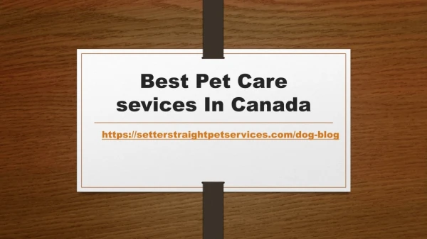 Best Pet Care sevices In Canada