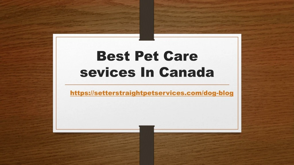 best pet care sevices in canada