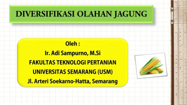 OLAHAN JAGUNG