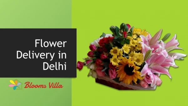 Send Flower To Delhi by BloomsVilla @199
