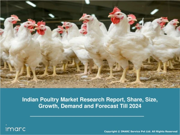 Poultry Market In India: Share, Size, Growth, Demand and Forecast Till 2024: IMARC Group