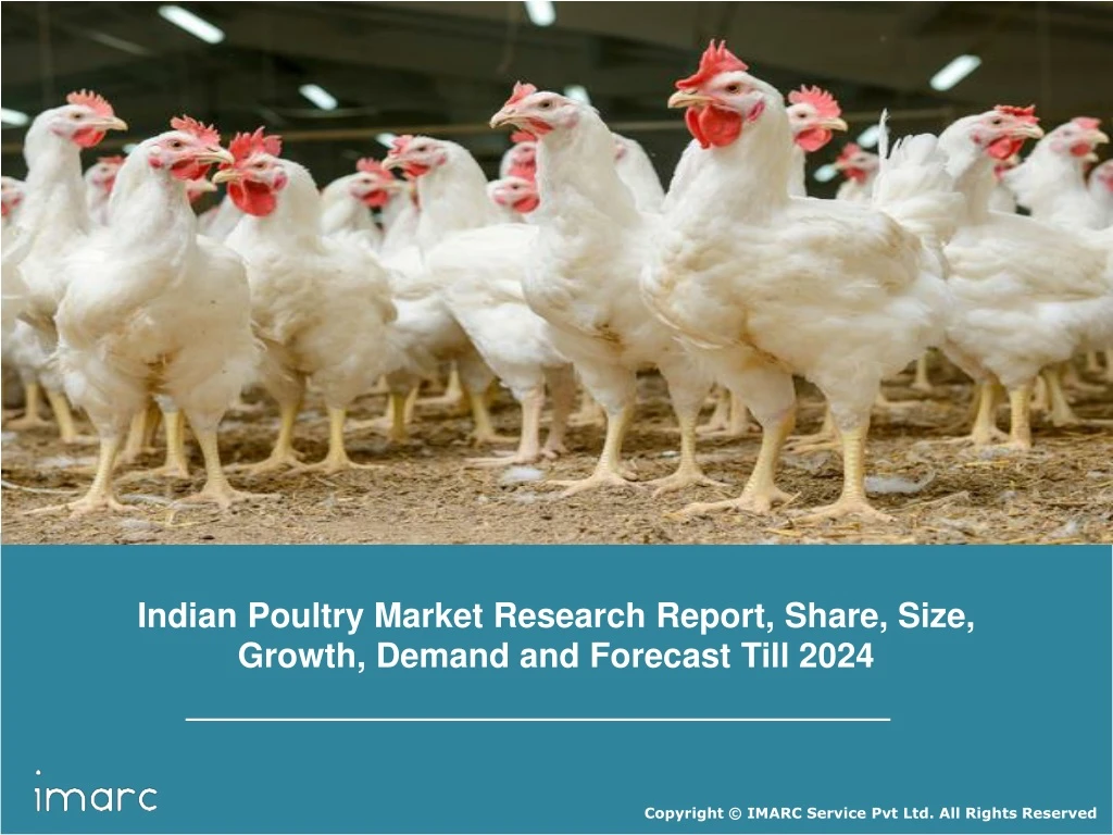 indian poultry market research report share size