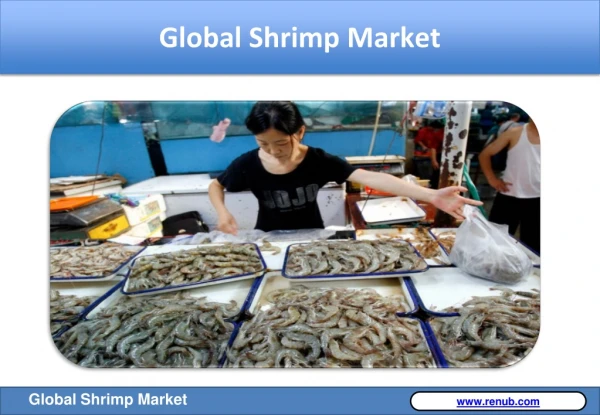 Global Shrimp Market is expected to be 6.7 Million Tonnes by the end of the year 2024