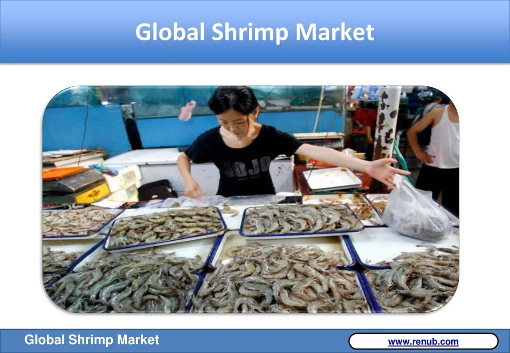 global shrimp market