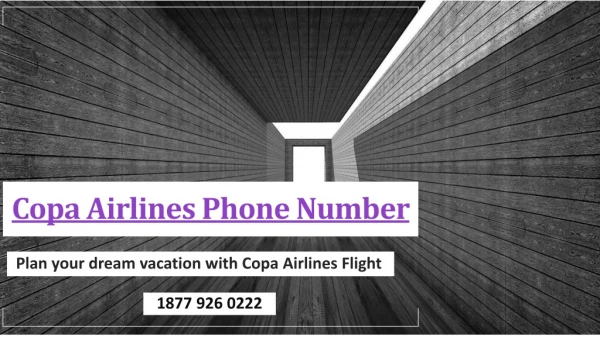 Plan your dream vacation with Copa Airlines Flight