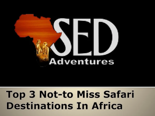 Top 3 Not-to Miss Safari Destinations In Africa
