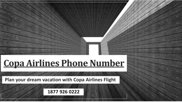 Plan your dream vacation with Copa Airlines Flight