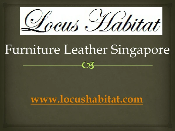 Furniture Leather Singapore