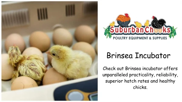 Brinsea Egg Incubator
