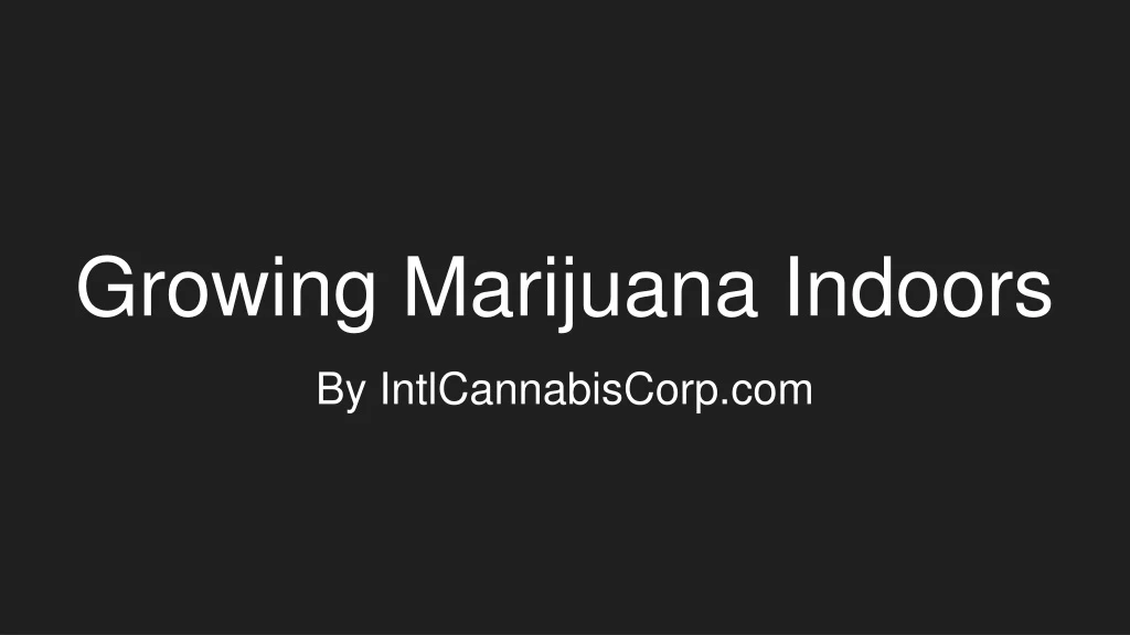 growing marijuana indoors