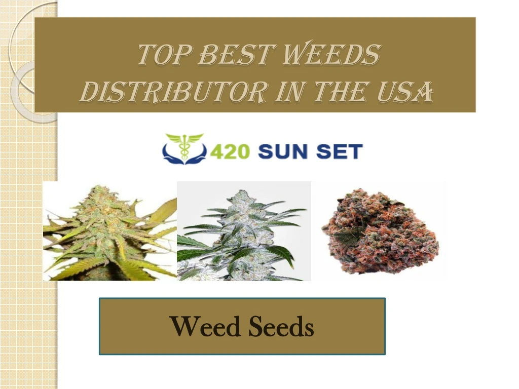 top best weeds distributor in the usa