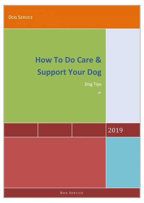 How to do Care @ Support Your Dog