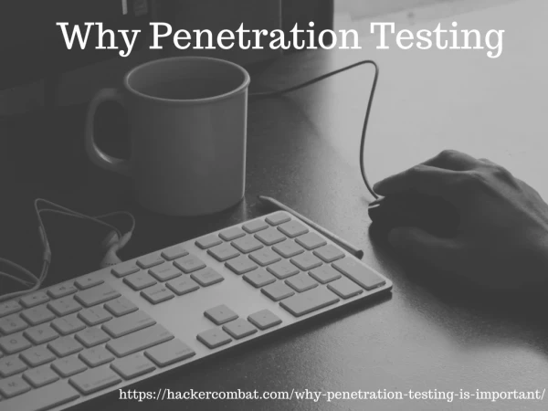 Why You Need Penetration Test?