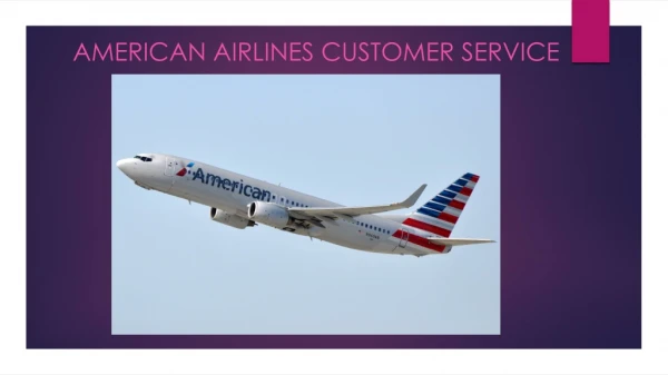 American Airlines Customer Service