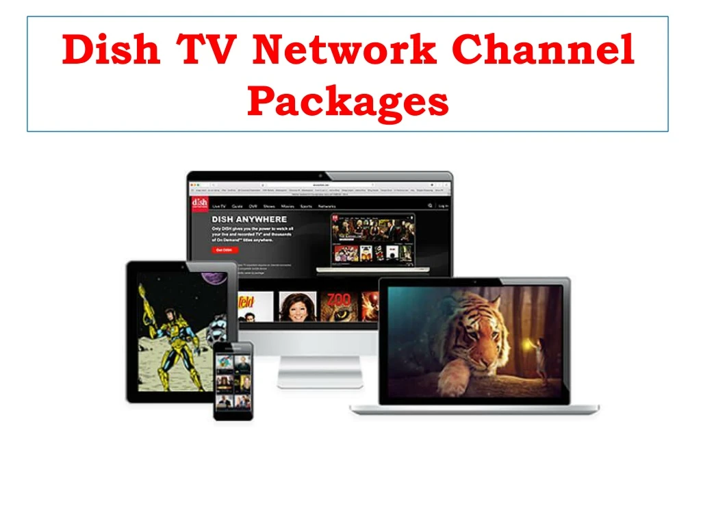 dish tv network channel packages