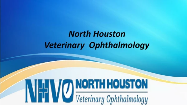 North Houston veterinary ophthalmologists