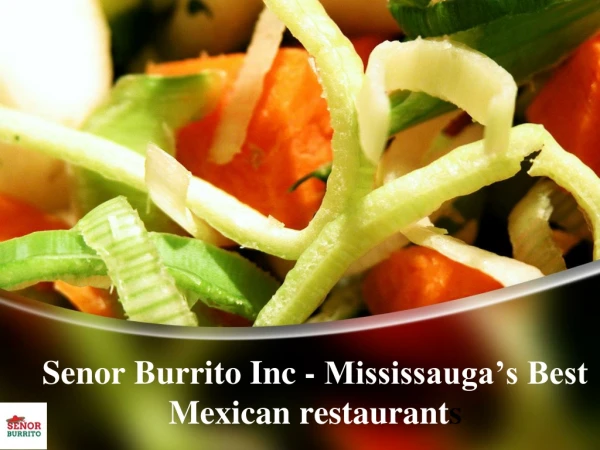 Senor Burrito Inc - Mississauga’s Best Mexican restaurants