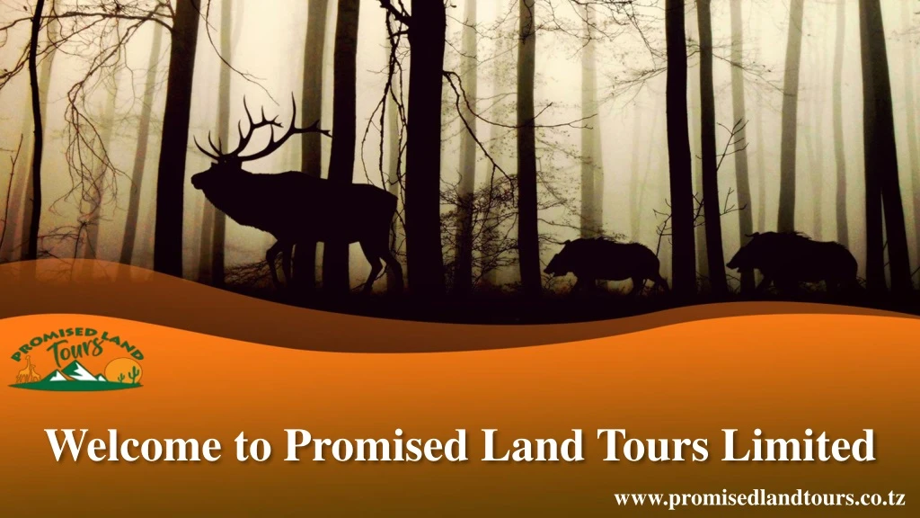welcome to promised land tours limited