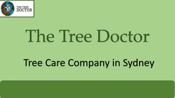 Tree Pruning Sydney | The Tree Doctor