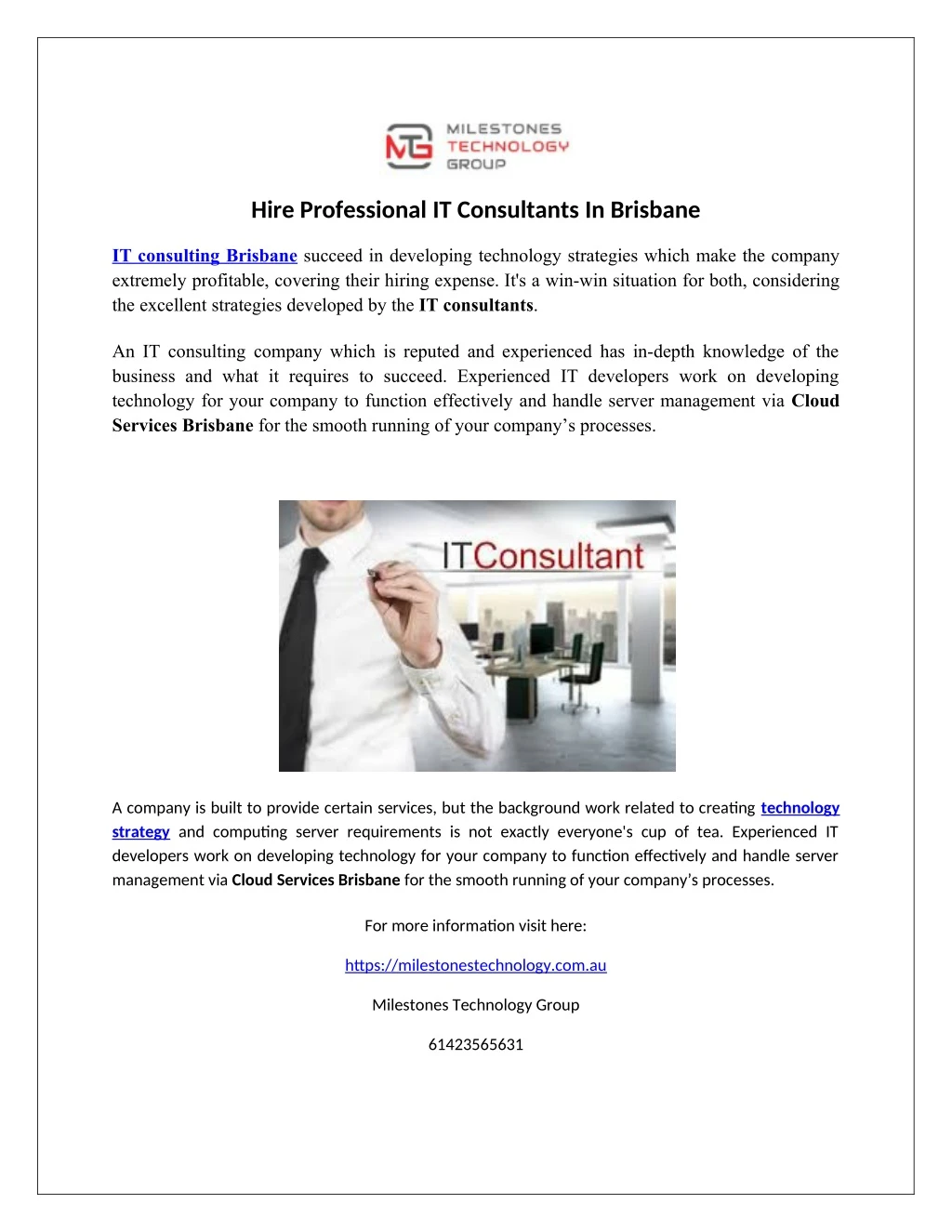 hire professional it consultants in brisbane
