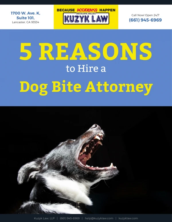 Why You Should Hire a Dog Bite Lawyer